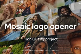 Mosaic Logo Opener 46925833