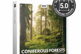 Boom Library Coniferous Forests STEREO & SURROUND WAV