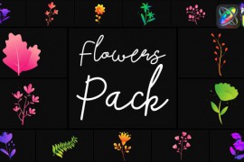 Flowers Pack for FCPX 50855501