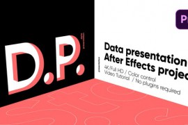 Info Presentation - Data Presentation 51105571