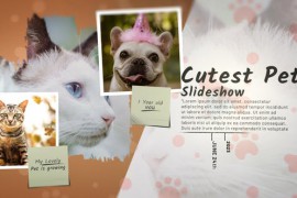 Cutest Pet Slideshow 47336666