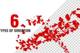 Hearts Spiral Pack 48240349