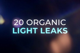 20 Organic Light Leaks Pack 36459219