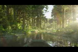 CGCircuit – CG Forest Deep Compositing
