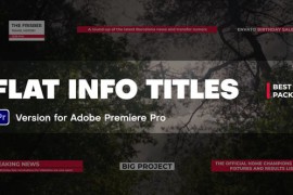 Flat Info Titles 45197191