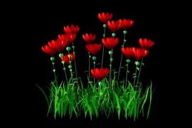Red Flowers Growing Alpha Channel 50950534