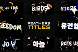 Feathers Titles | Premiere Pro MOGRT 50393202