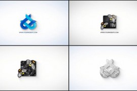 Simple Logo Reveal V.2 47045886