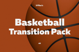 Basketball Transition Pack 4K 28153814
