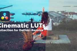 Cinematic LUTs Collection 50040582