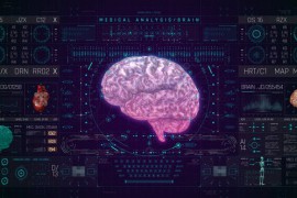 HUD PRO Medical Brain 48753840