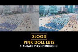 Slog3 Pink Doll and Standard Color LUTs 50931308