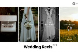 Wedding Reels Vol. 16 49308073
