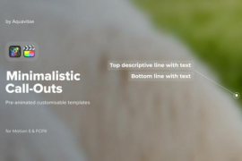 Minimalistic Call Out Titles for FCPX & Motion 50313407