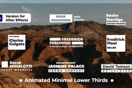 Animated Minimal Lower Thirds 49484948