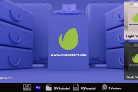 Travel Agency Logo Reveal 49909010