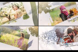 Four Seasons Slideshow 13649512