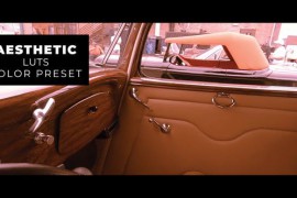 Vintage LUTs 43382745