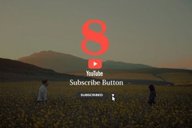 Youtube Subscribe Buttons Pack 51954217