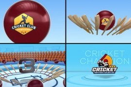 Cricket Countdown 48157204