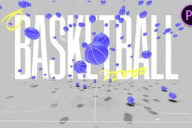 Dunk Intro 48065747