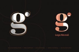 Logo Reveal 45274597