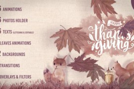 Thanksgiving Kit 48939657