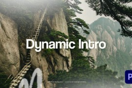 Dynamic Opener 50124447