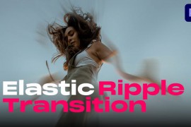 Elastic Ripple Transitions 48426239