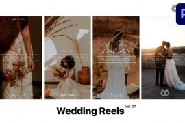 Wedding Reels for Premiere Pro Vol. 07 49376990