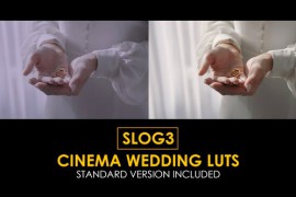 Slog3 Cinema Wedding and Standard Color LUTs 48800899