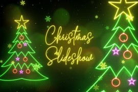 Christmas Slideshow 42129072