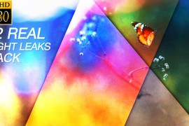 Light Leaks Vol 1 18997053