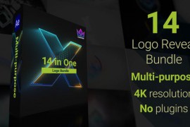 Logo Reveal Bundle | 14 in One 46236326