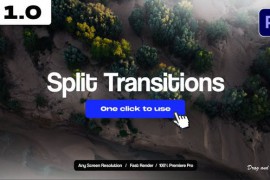 Split Transitions 51459039
