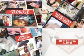 My Wedding Album Premiere Pro 44389597