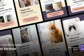 Pet Service Promo - Social Media Reels 46431891