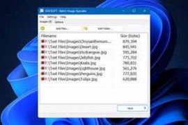 Free Download:VovSoft Batch Image Upscaler 1.3