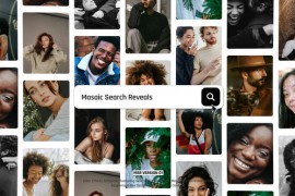 Mosaic Search Reveals 51506368