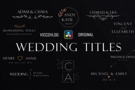 Wedding Titles Templates 49848867