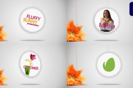 Fluffy Sunny Presentation | Premiere Pro MOGRT 50958501