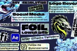 Foil Lower Third 46896693