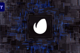 Digital Logo 50226155