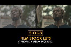 Slog3 Film Stock and Standard Color LUTs 51105337