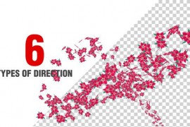 Flowers Spiral Pack V9 51186469
