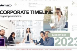 Corporate Timeline Slideshow 46728079