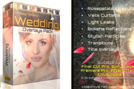 Wedding Overlays Pack 21501053
