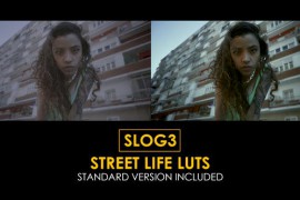 Slog3 Street Life and Standard Color LUTs 48798983