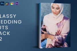 Classy Wedding Luts Pack V2 46004375