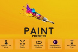 Paint Presets for Premiere Pro 51671409